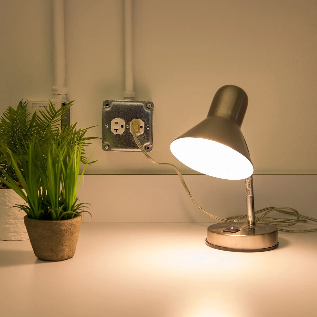 Lamp 2026 no images