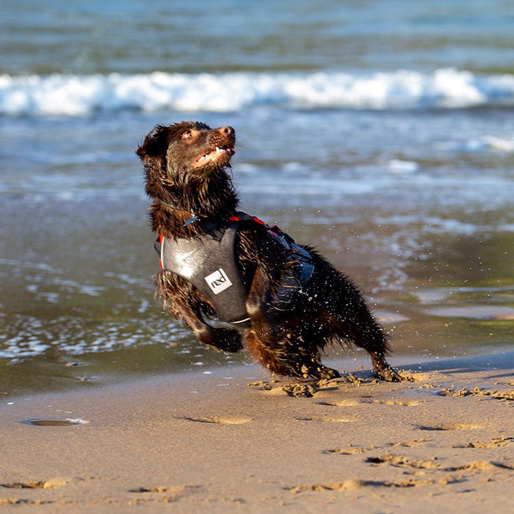 Dog Buoyancy Aid - Red Grey