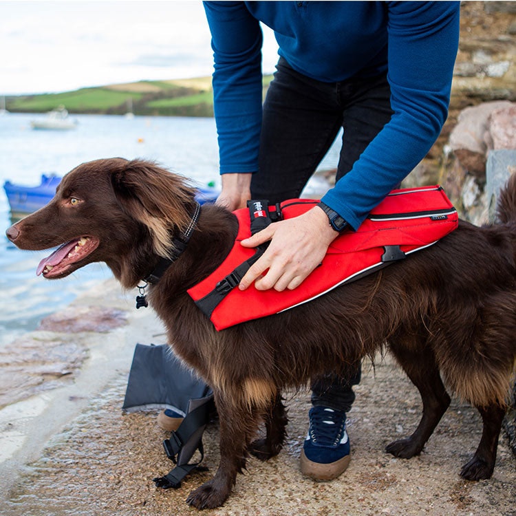 Dog Buoyancy Aid - Red Grey