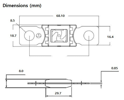 Exotronic Mega/AMG/ANM Fuse 40A