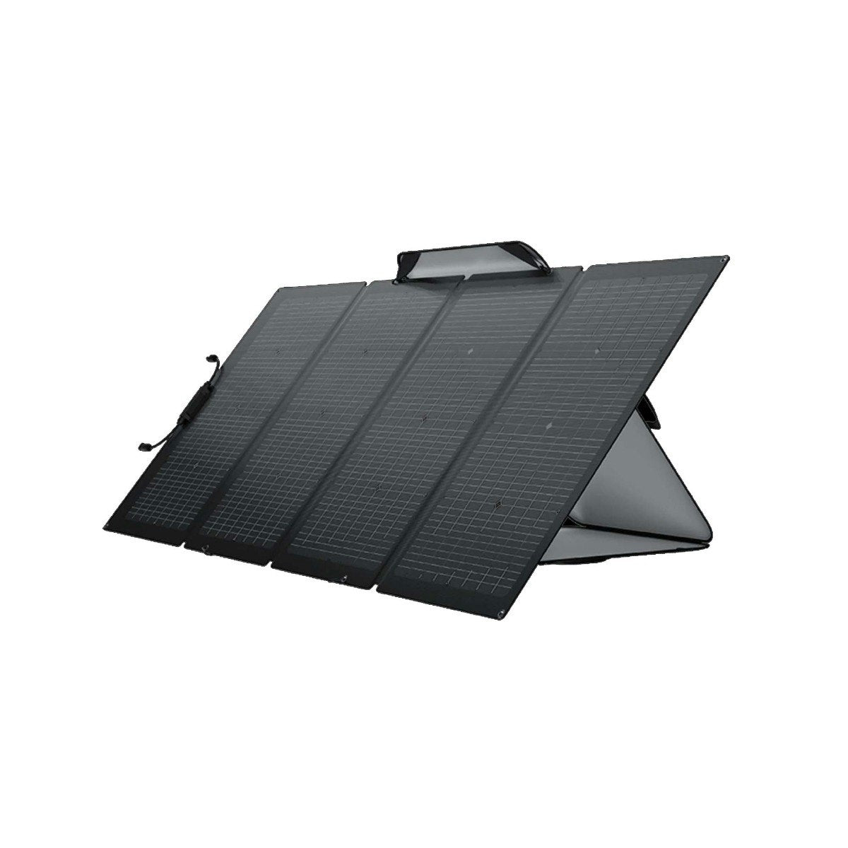 EcoFlow 220W Bifacial Solar Panel