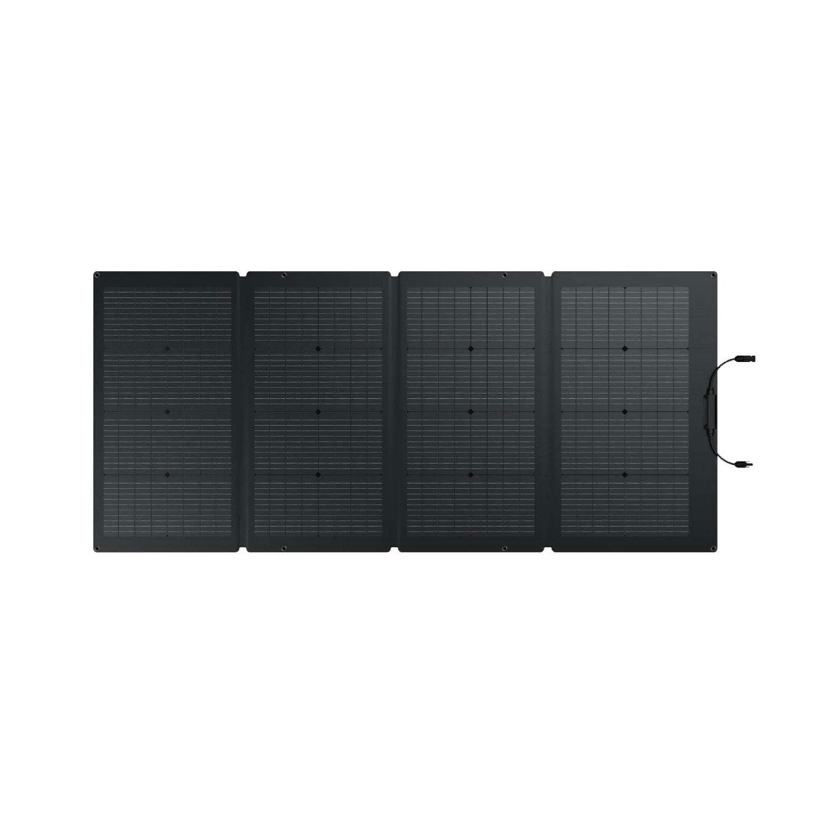 EcoFlow 220W Bifacial Solar Panel