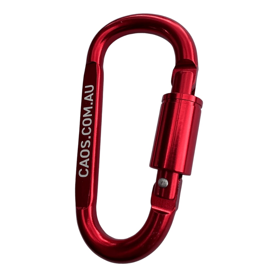 CAOS 4Pk Carabiner Snap Hook & Lock